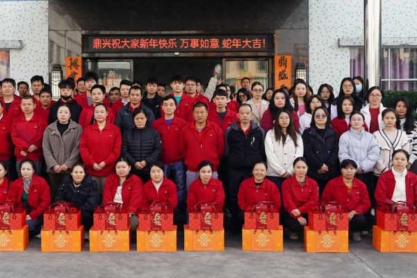 春节礼品（2025）